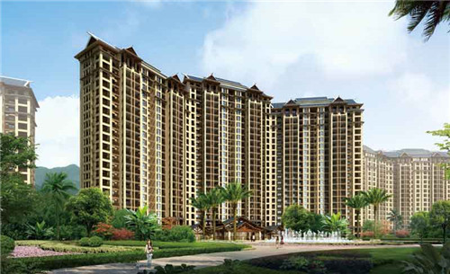 一只鲍鲍汁焖鸡