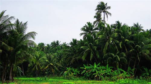 学洗车店创业怎么样做生意