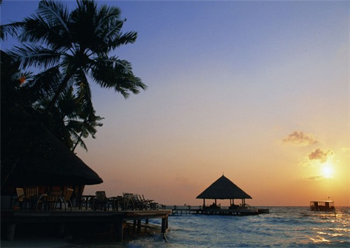 卡游加盟费是多少