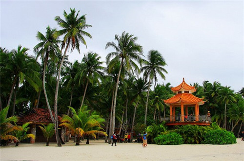 实体店返乡创业好吗