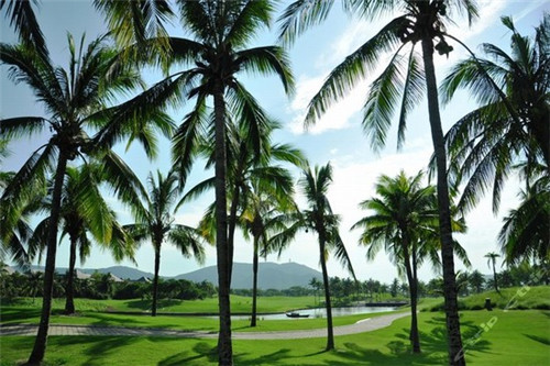 烤鱼加盟店投资前景好吗，知鱼堂烤鱼知名度怎么样