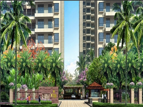 藏排通便贴（通便贴多少钱一盒）