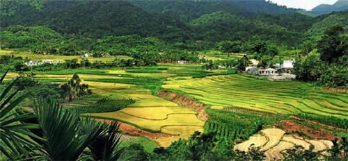 陂下古村风景官方介绍（渼陂古村景区）