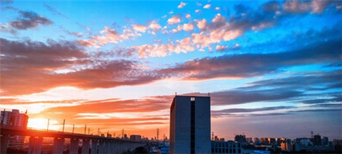 矮子雷手游难不难玩（矮子雷技巧）